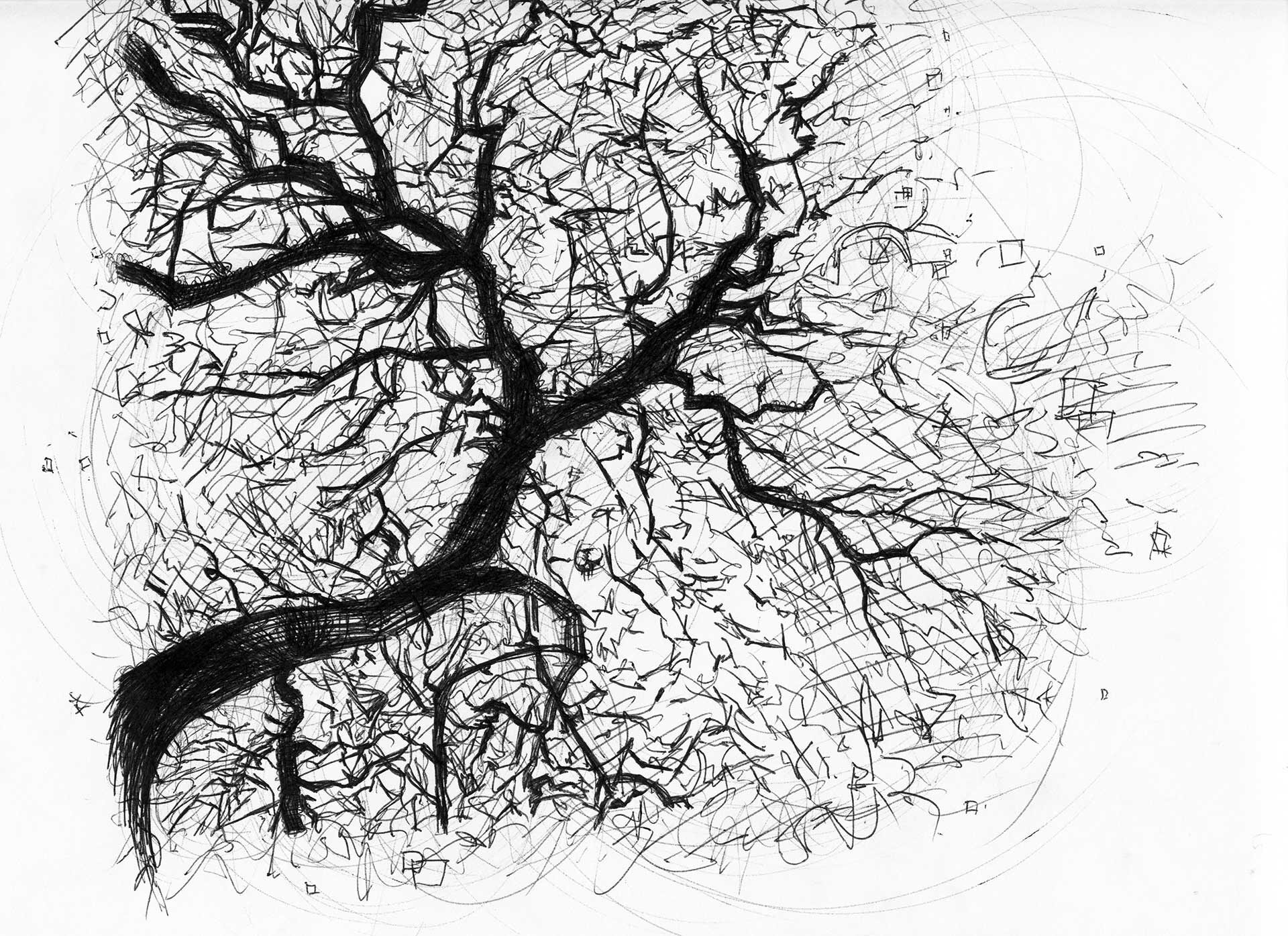 tree-sketch-1-amourbliss